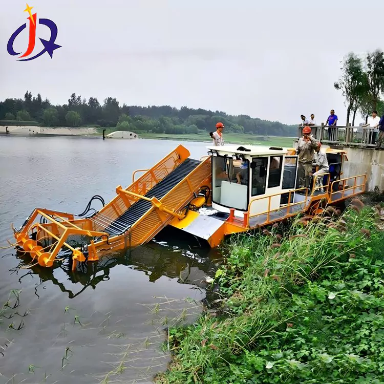 Hyacinth At Duckweed Cutter Boat