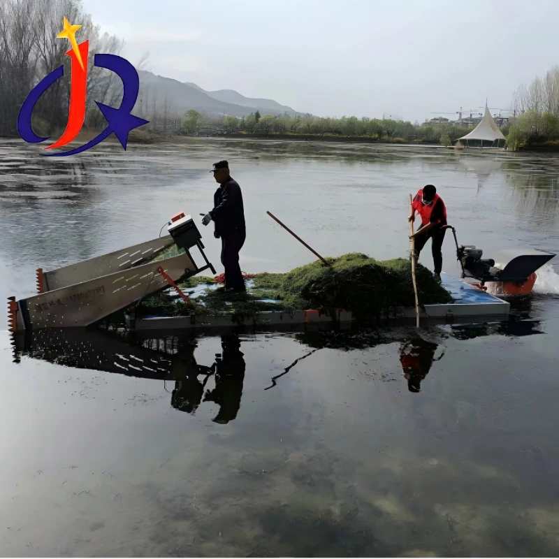 Maliit na Mini Aquatic Weed Harvester
